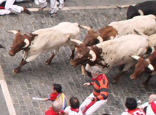 San Fermin – Running of the Bulls, Pamplona (Spain)
