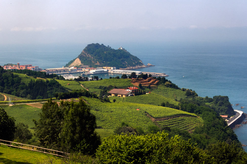 Viñedos de txakoli, Getaria